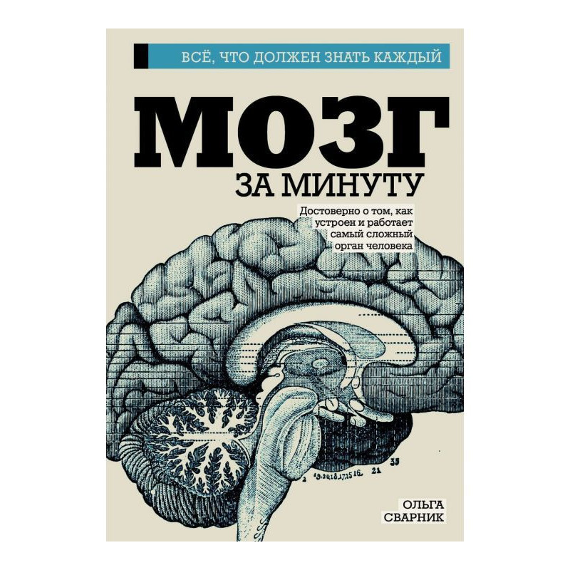 Мозок за хвилину