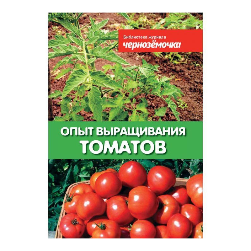 Досвід вирощування томатів