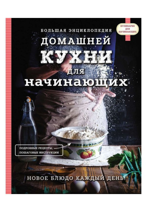 Large encyclopaedia of domestic kitchen for beginners