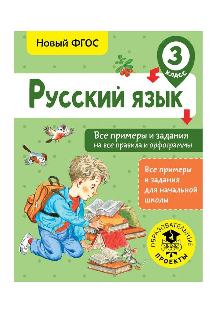 Russian. All examples and tasks on all rules and орфограммы. 3 class