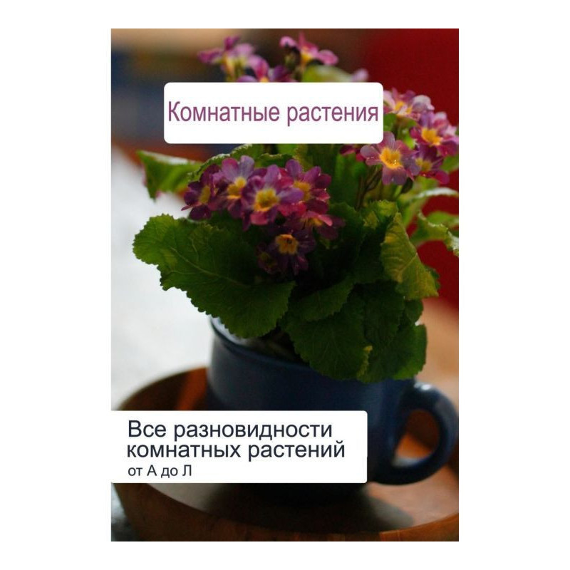 Все разновидности комнатных...