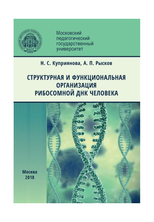 Структурна і функціональна організація рибосомної ДНК людини