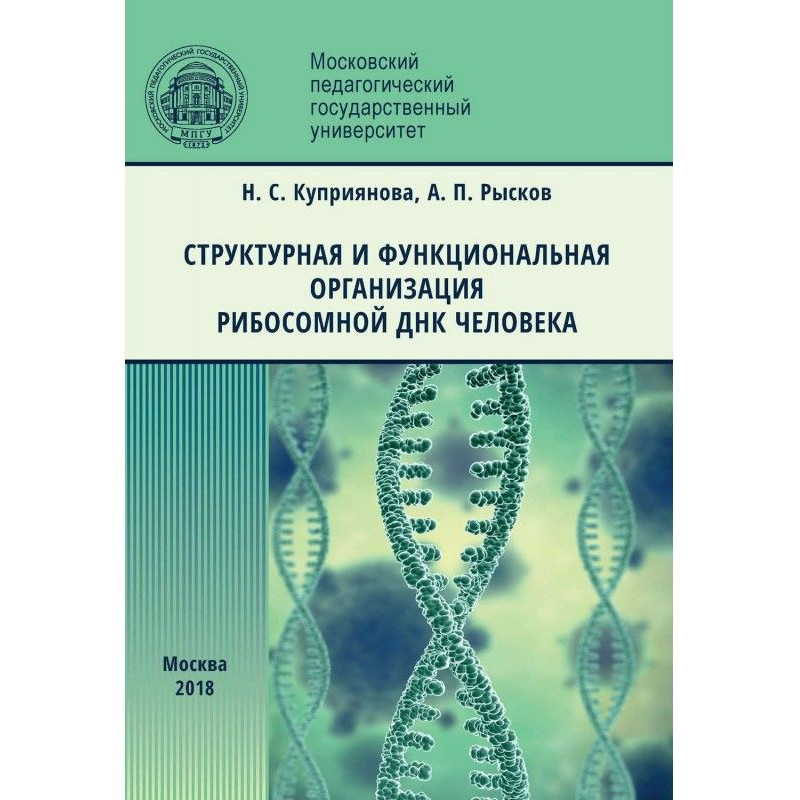 Структурна і функціональна...