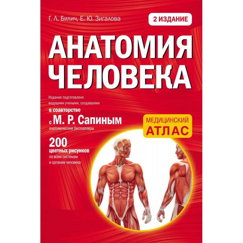 Анатомия человека