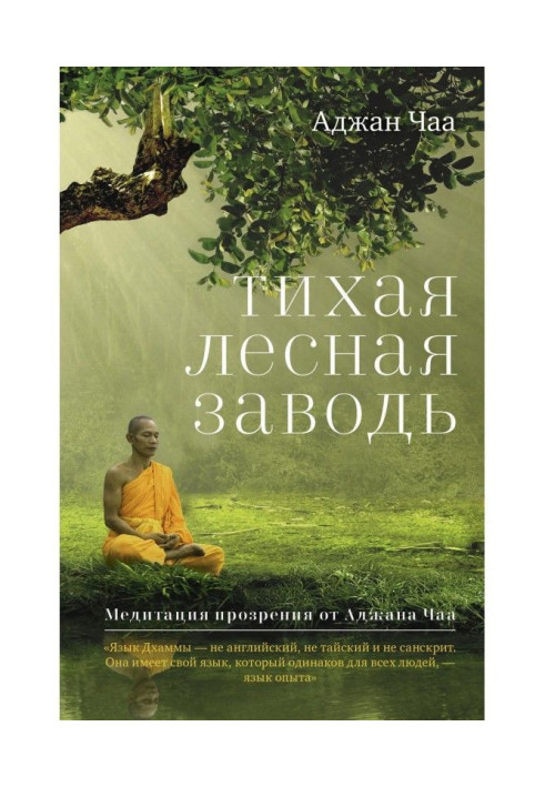 Тихий лісовий затон. Медитація прозріння від Аджана Чаа