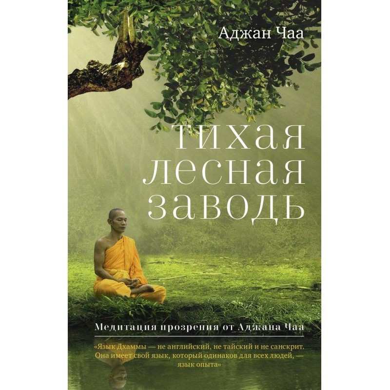 Тихая лесная заводь....