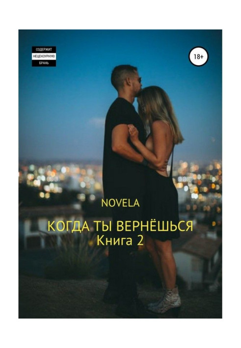 Когда ты вернешься. Книга 2