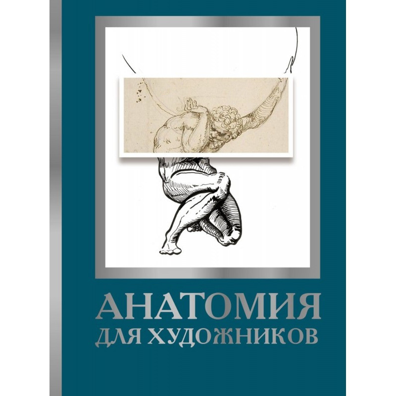 Анатомия для художников