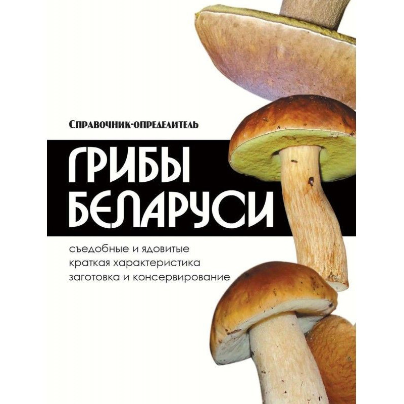 Гриби Білорусі