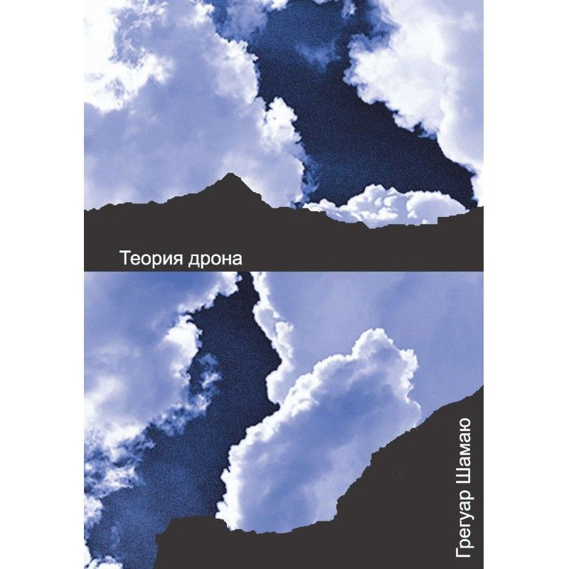 Теория дрона