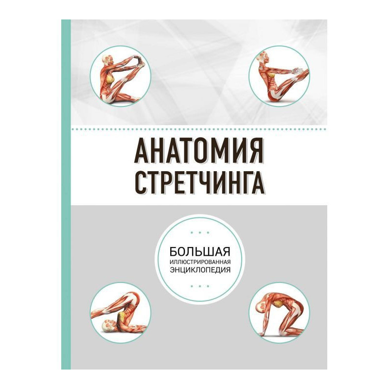 Анатомія стретчинга