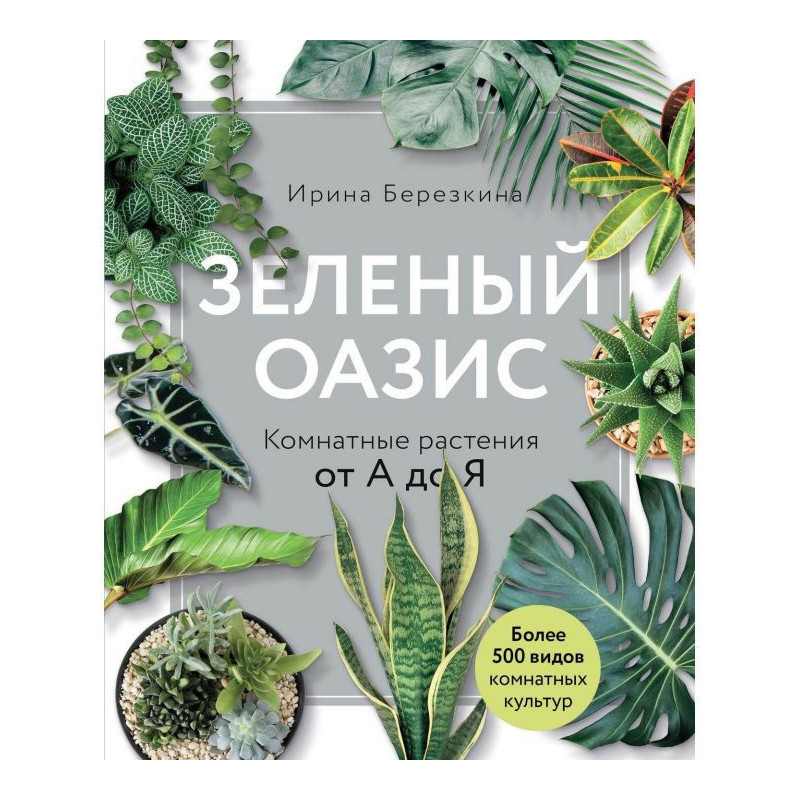 Зеленый оазис. Комнатные...