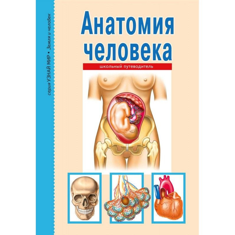 Anatomy of man