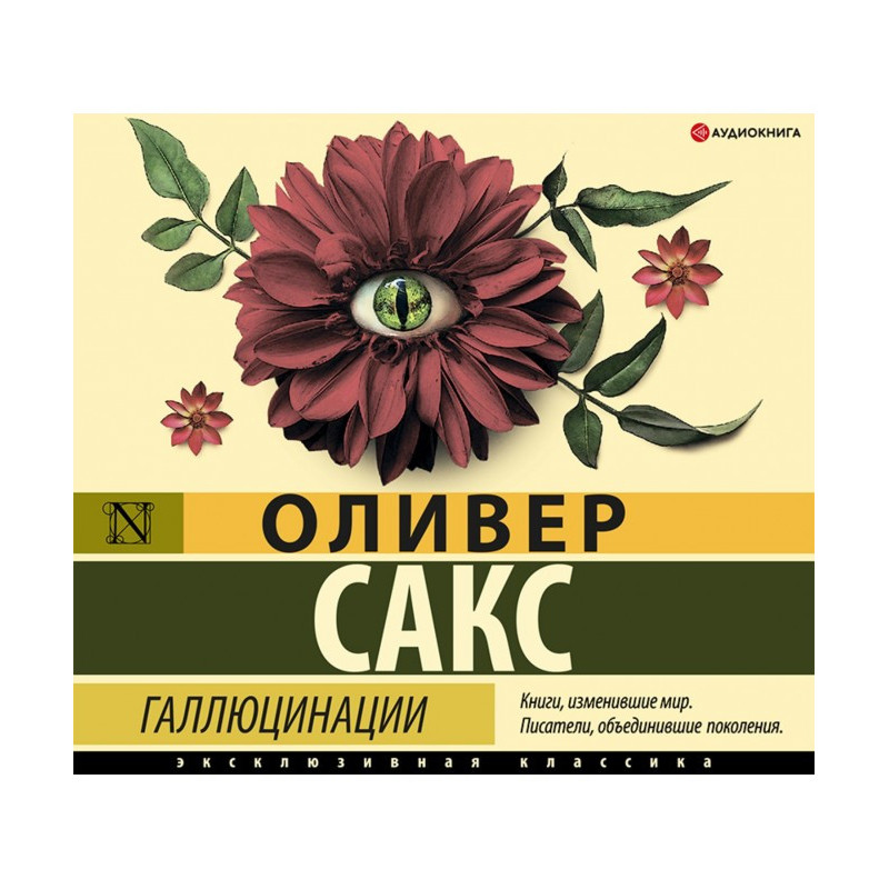 Галюцинації