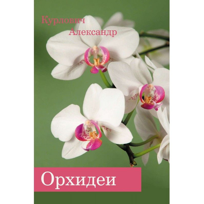 Orchids