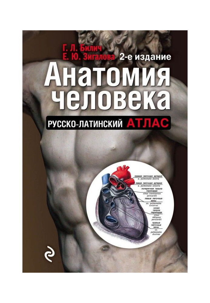 Anatomy of man. Russian-Latin atlas