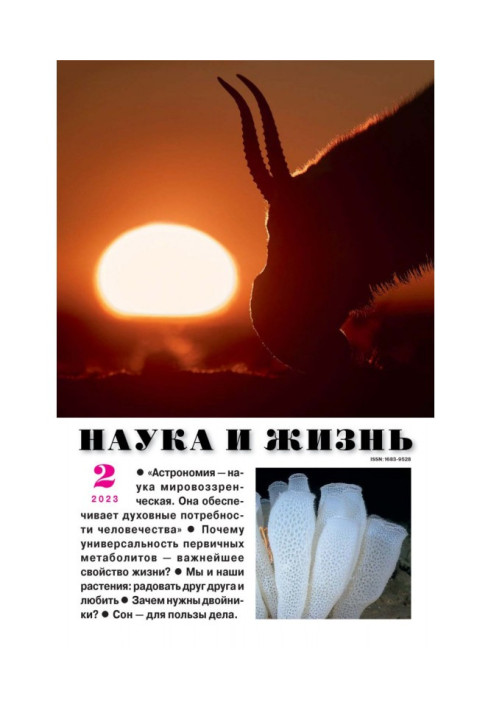 Наука и жизнь №02/2023