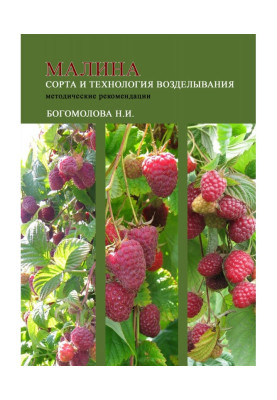 Raspberries: varieties and cultivation technology (guidelines)