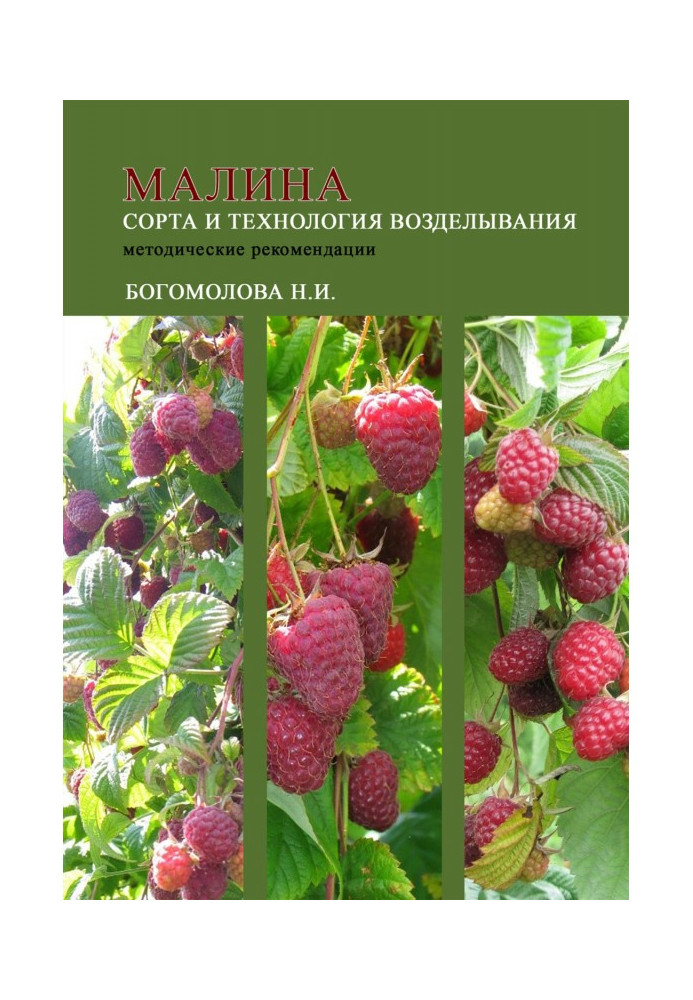 Raspberries: varieties and cultivation technology (guidelines)