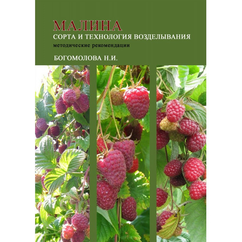 Малина: сорта и технология...