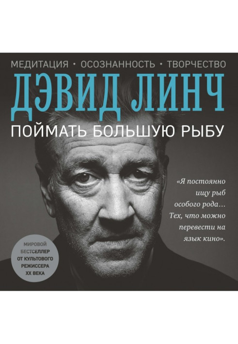 Упіймати велику рибу. Медитація, усвідомленість, творчість