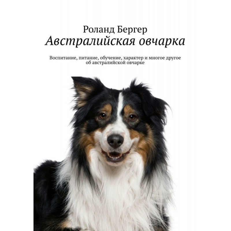 Австралійська вівчарка....