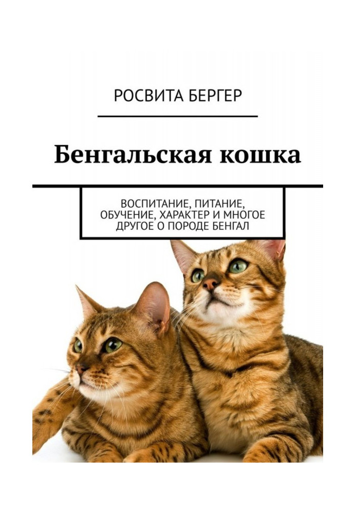 Бенгальська кішка. Виховання, харчування, навчання, характер та багато іншого про породу бенгал