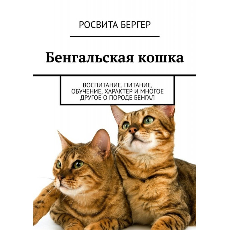 Бенгальская кошка....
