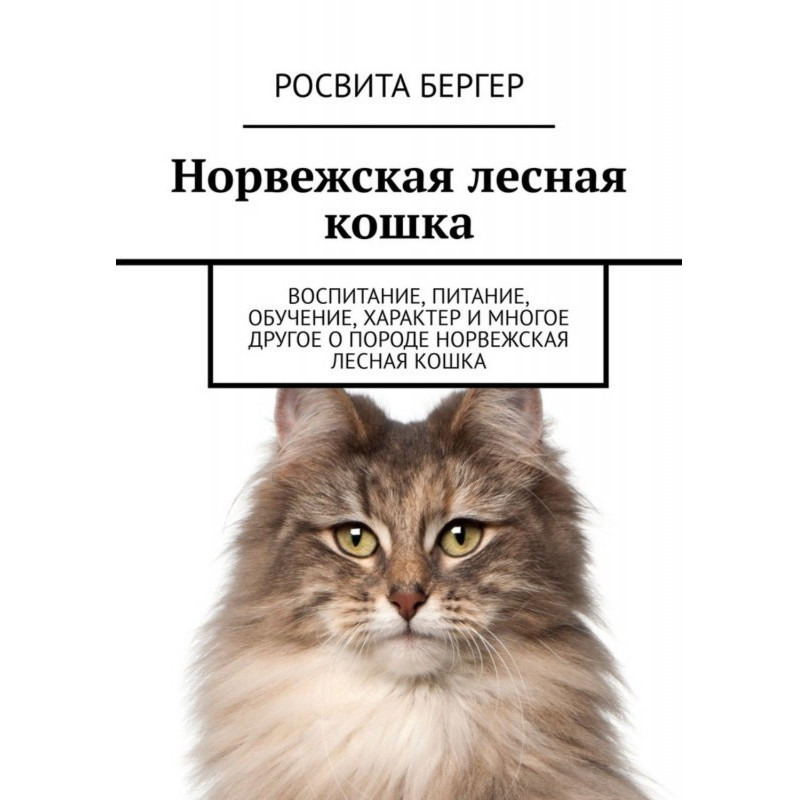 Норвежская лесная кошка....