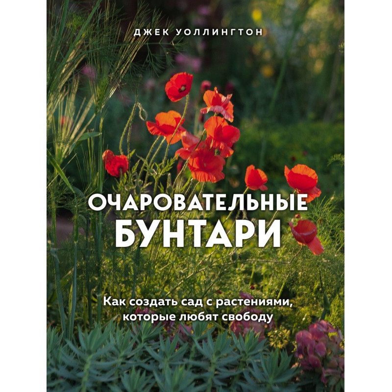 Чарівні бунтарі. Як...