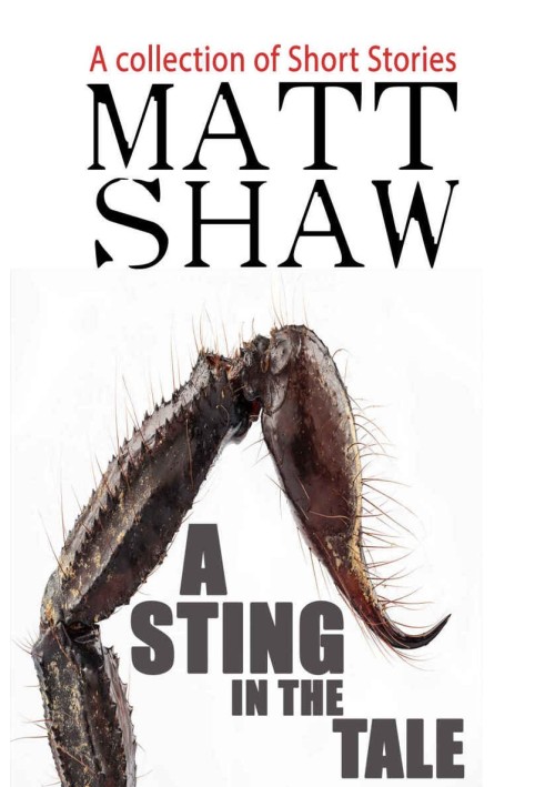 A Sting in the Tale: A Collection of Short Stories