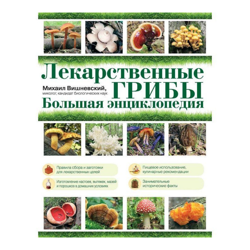 Лекарственные грибы....