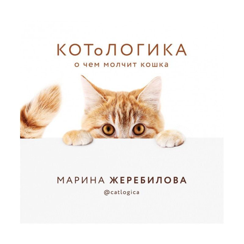 КОТоЛОГИКА. What a lady-cat...