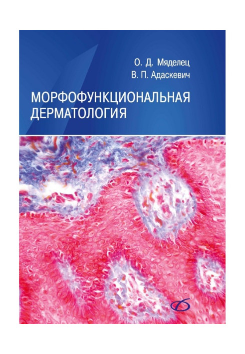 Morphofunctional dermatology