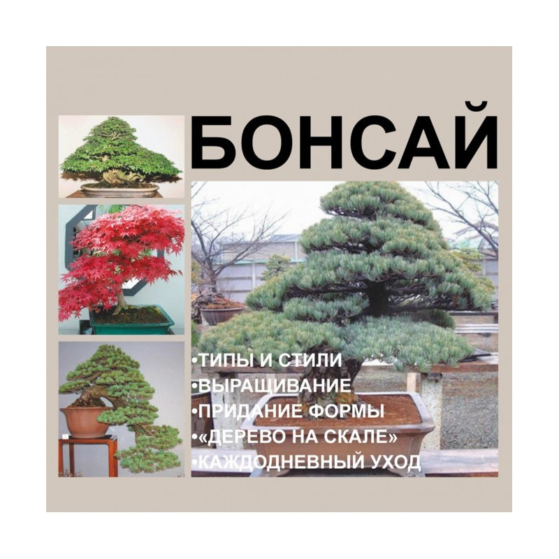 Bonsai