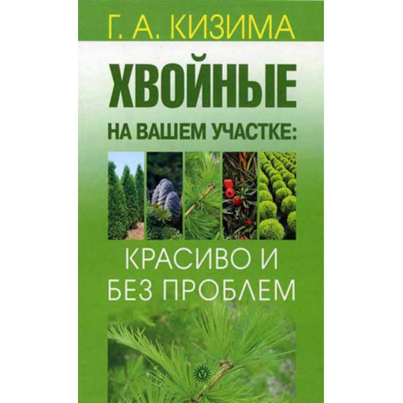 Хвойні на вашій ділянці:...