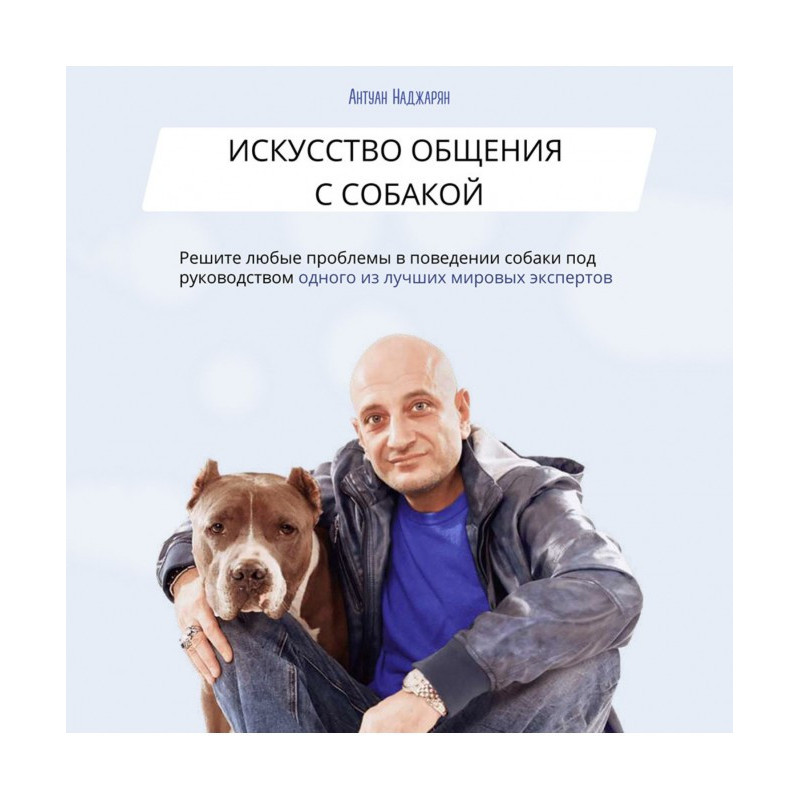 Мистецтво спілкування із...