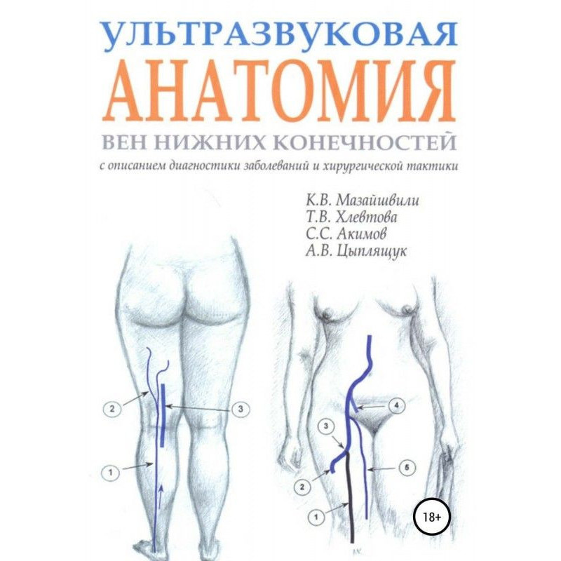 Ultrasonic anatomy of veins...