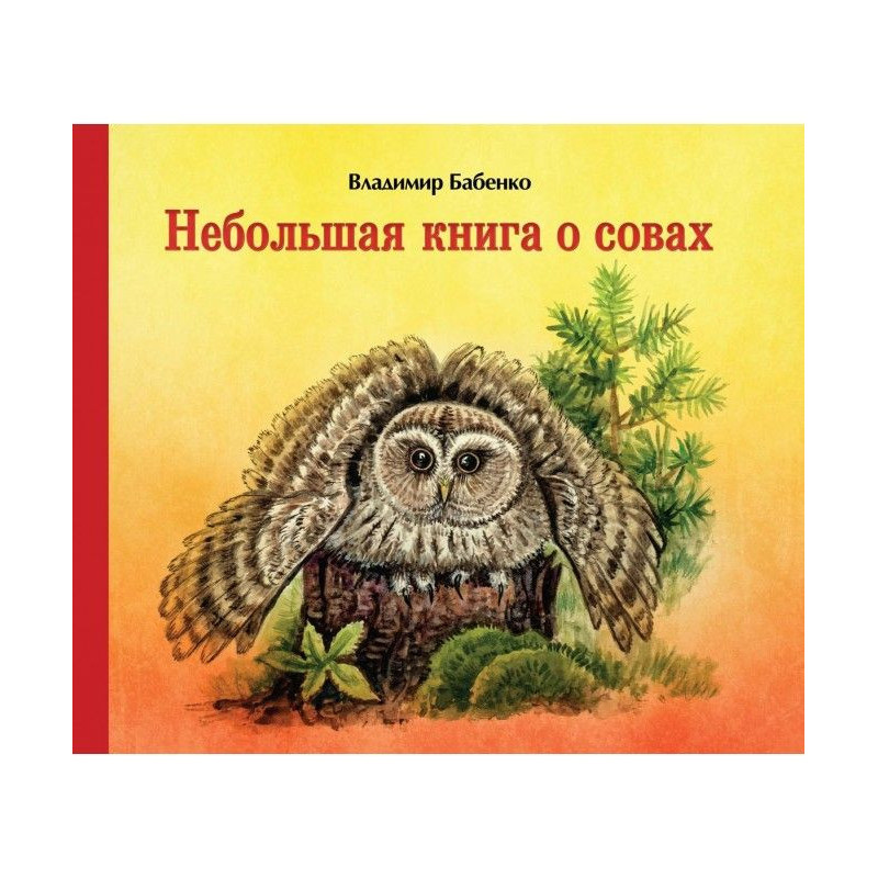 Небольшая книга о совах