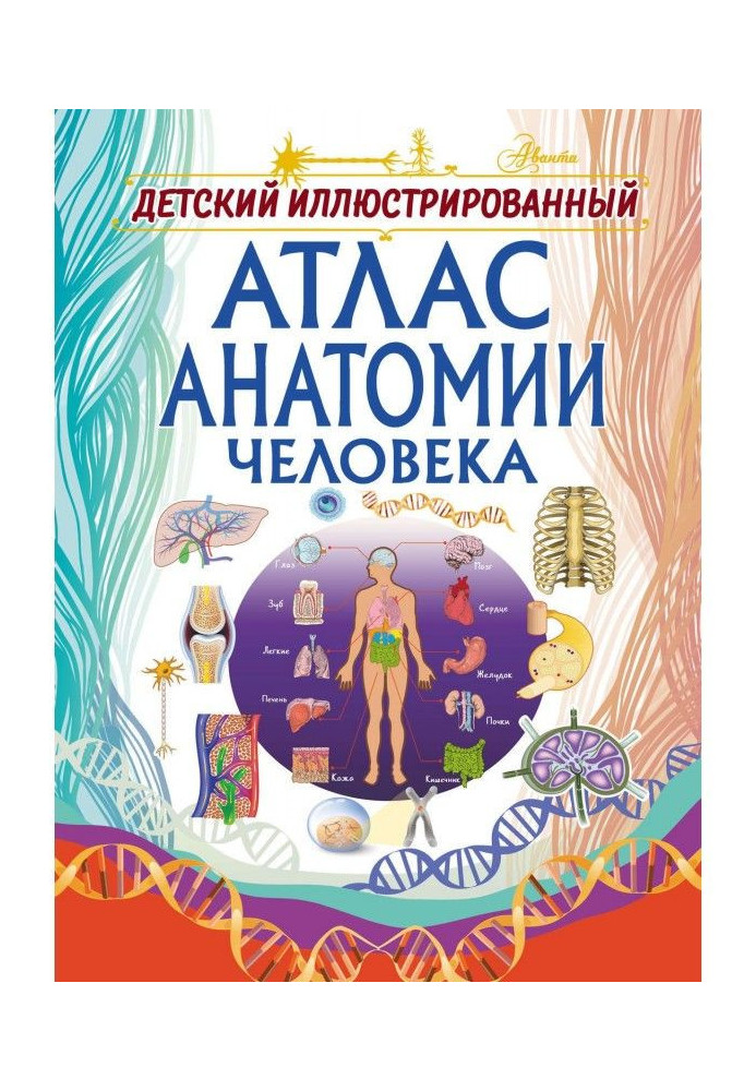 Children's Illustrated Atlas of Human Anatomy