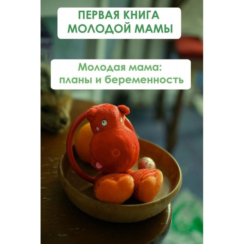 Молодая мама: планы и...