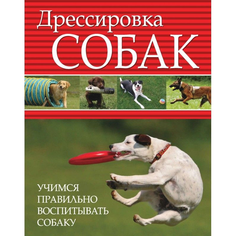 Training of dogs. We study...