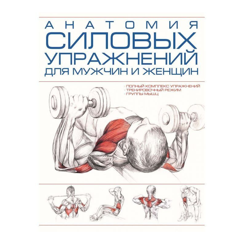Anatomy of power exercises...