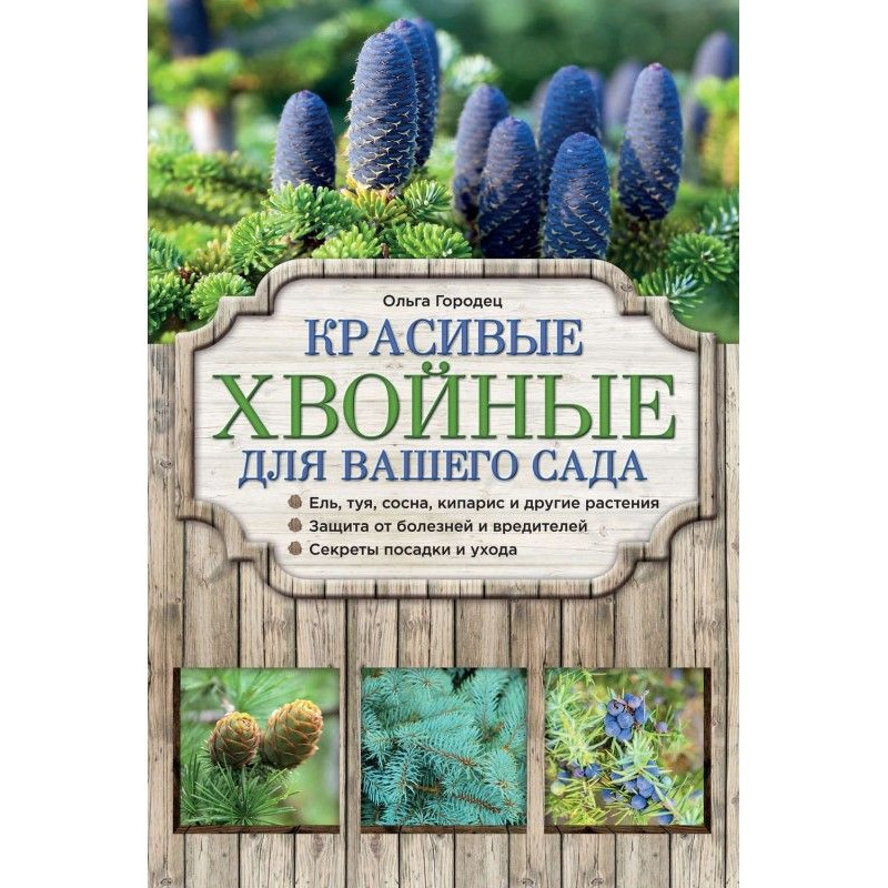Красиві хвойні для саду