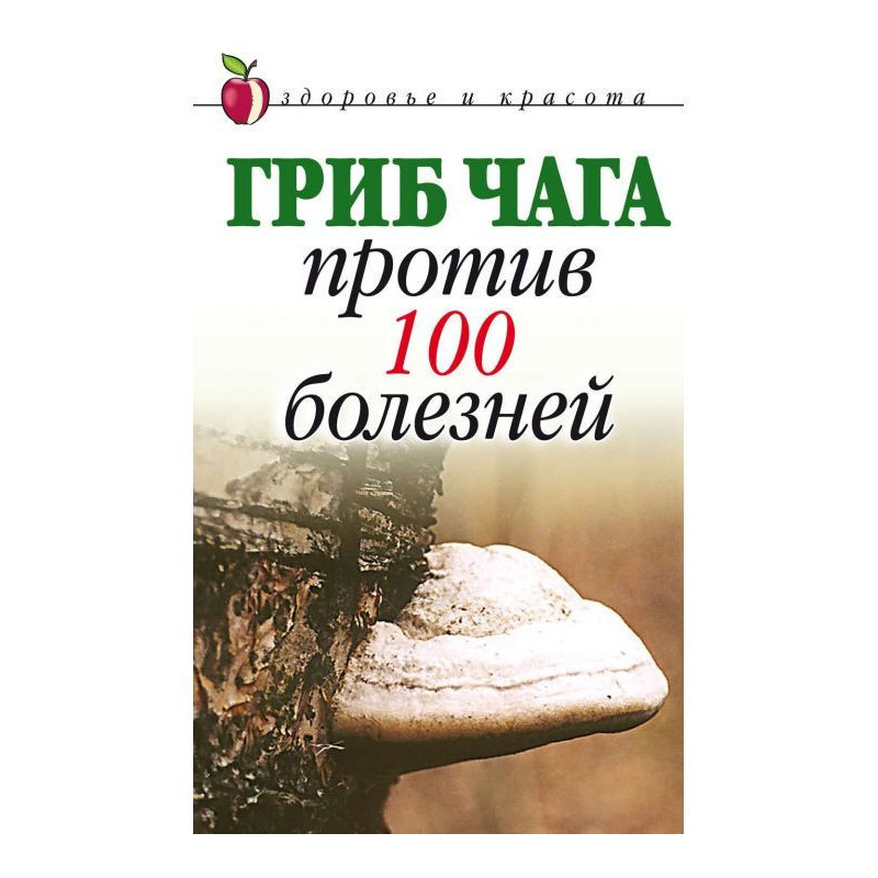 Mushroom of чага against...