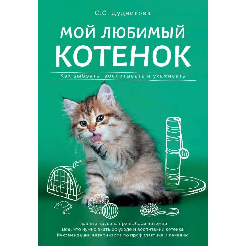 My favourite kitten. How to...