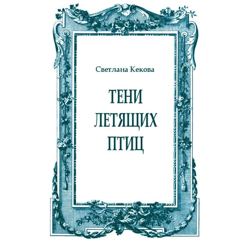 Shadows of flying birds