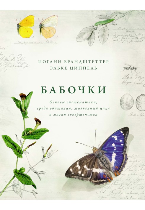 Метелики. Основи систематики, довкілля, життєвий цикл і магія досконалості