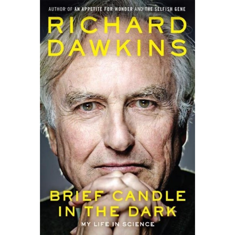 Коротка свічка в темряві:...