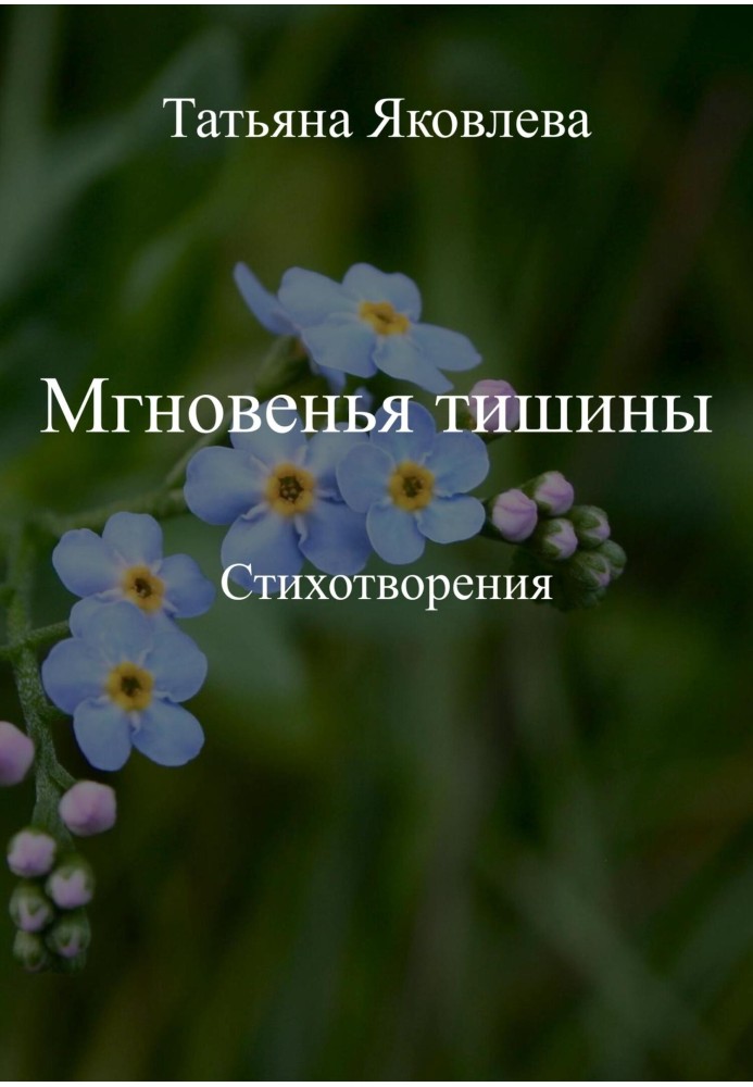 Мгновенья тишины. Стихотворения